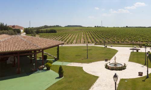 oferta invierno ribera del duero 4