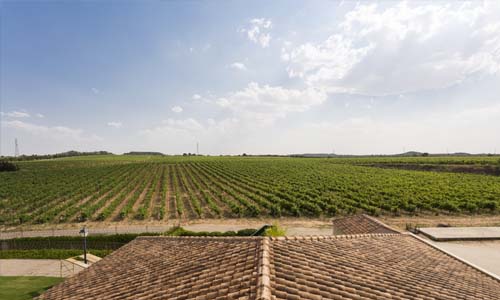 oferta invierno ribera del duero 9