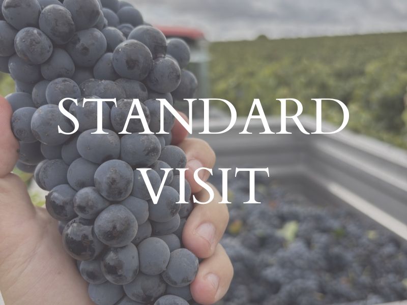 enoturismo ribera del duero visita estandar